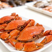Live Mud Crab