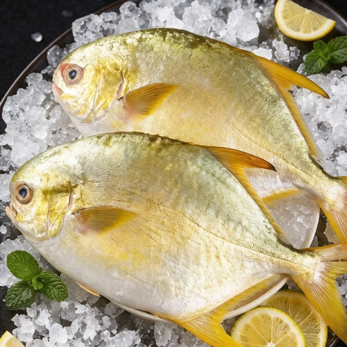 Golden Pomfret